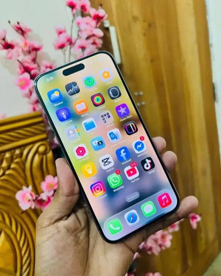 Apple iPhone 15pro max 1