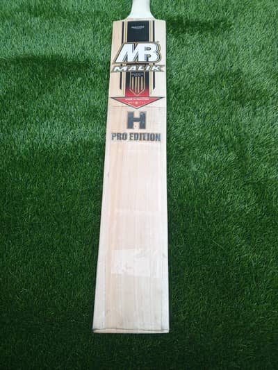 Hardball Cricket Bat