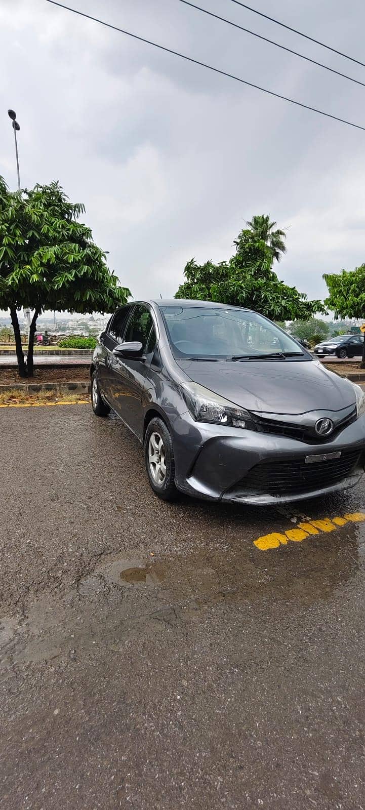 Vitz Spider Shape 1