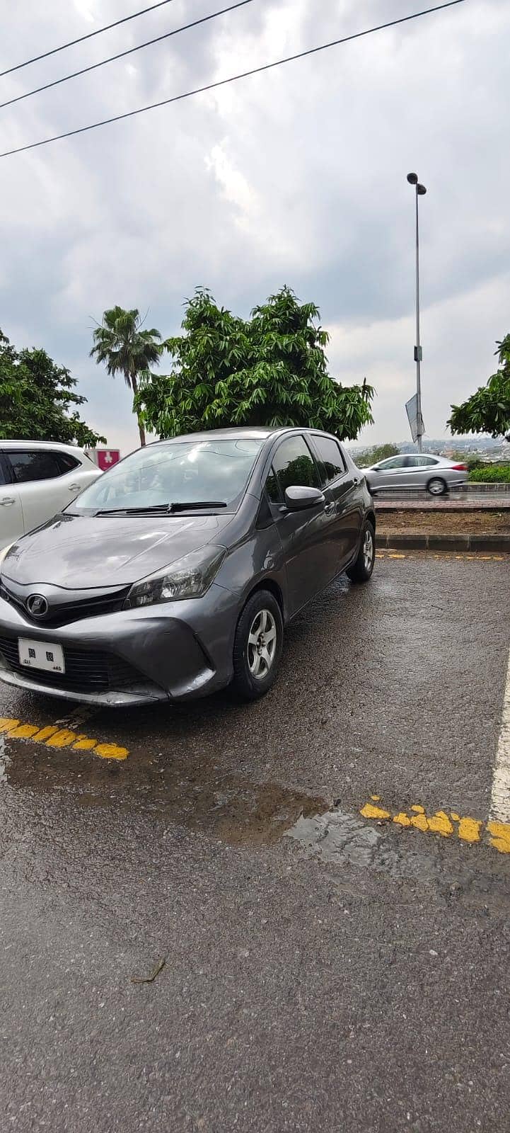 Vitz Spider Shape 2