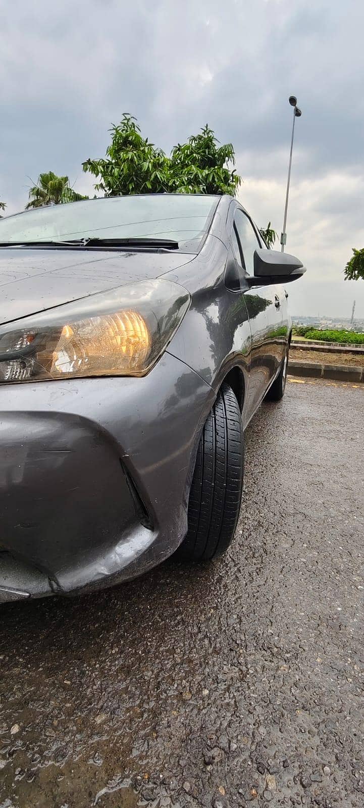 Vitz Spider Shape 4