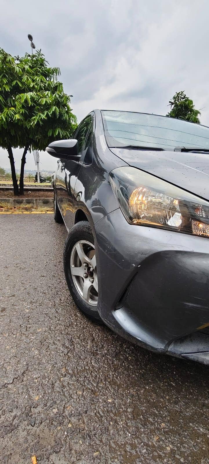 Vitz Spider Shape 5