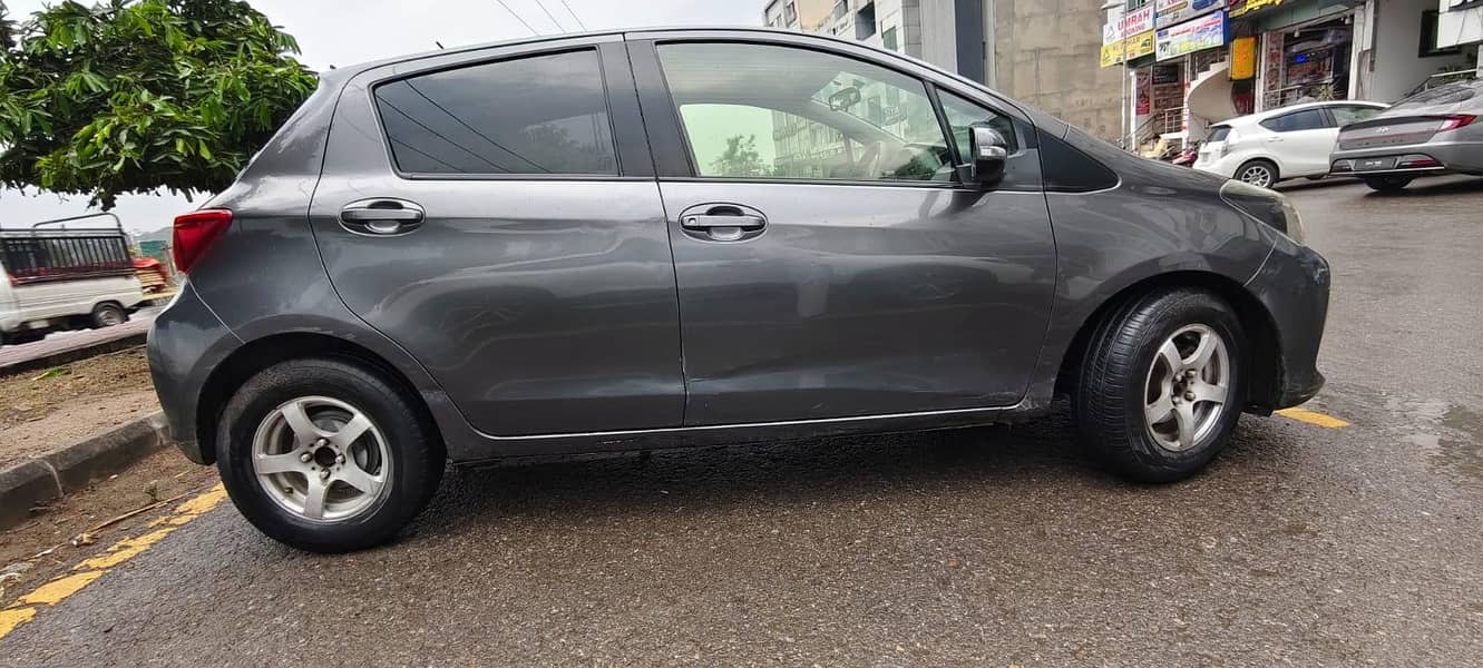 Vitz Spider Shape 7