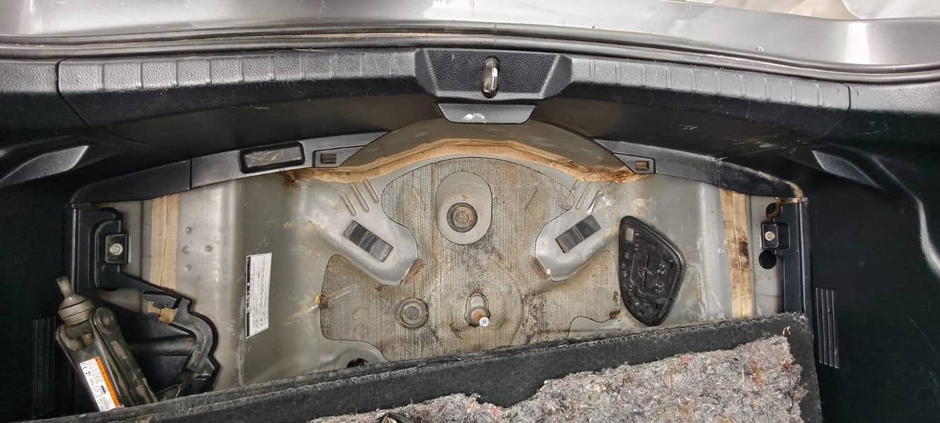 Vitz Spider Shape 13