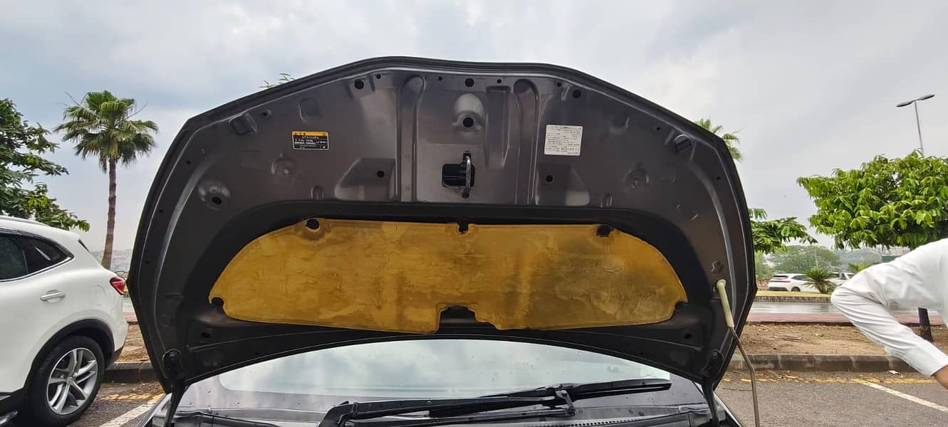 Vitz Spider Shape 14