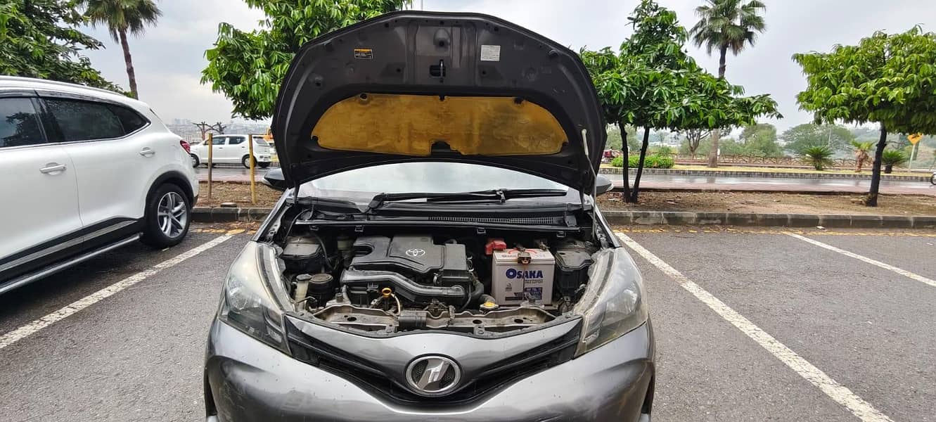 Vitz Spider Shape 15