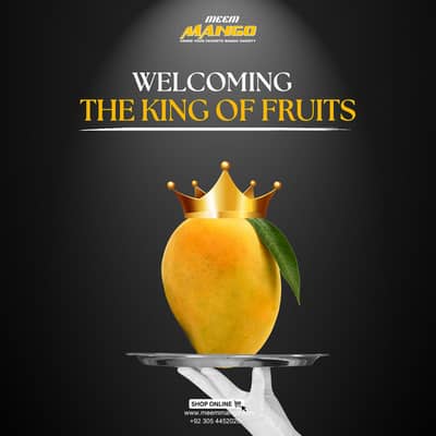 Multani Mangoes premium export Quality fresh mango export quality