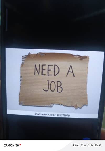 I need a job