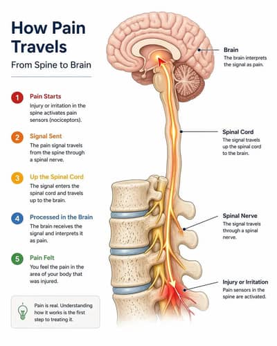 Tuition for medical subjects