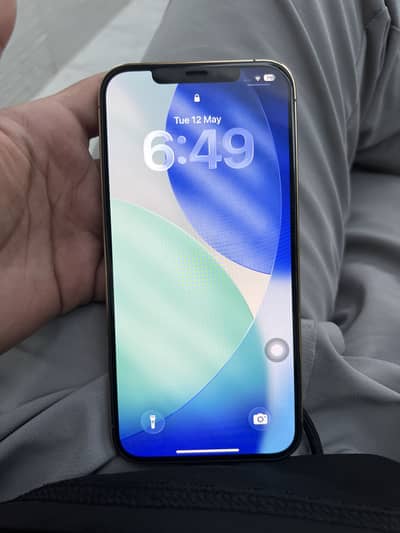 Iphone 12 pro max