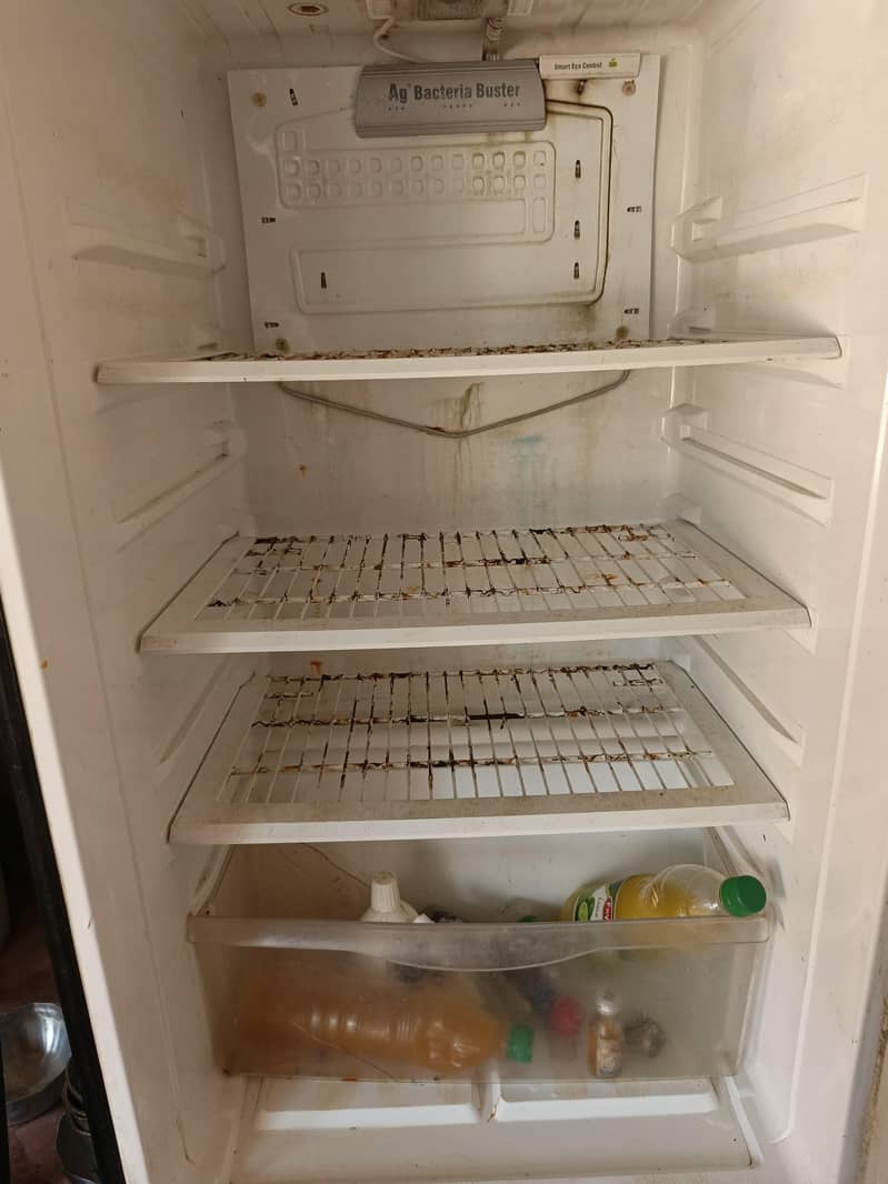 PEL REFRIGERATOR 2