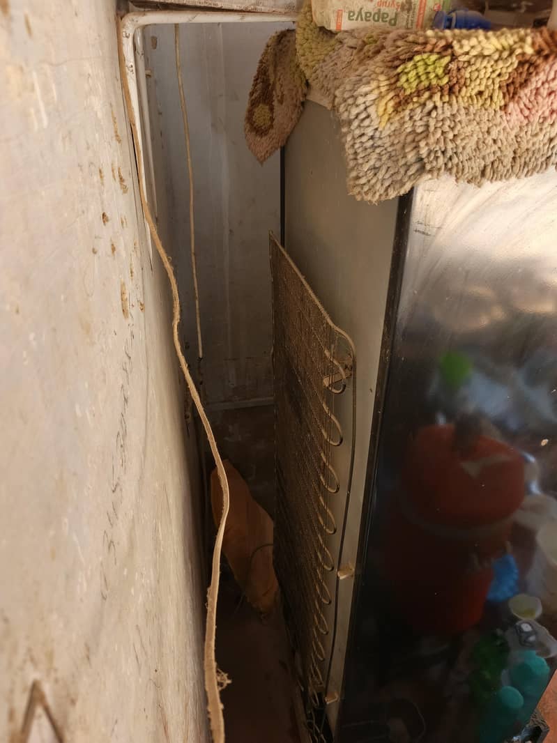 PEL REFRIGERATOR 6