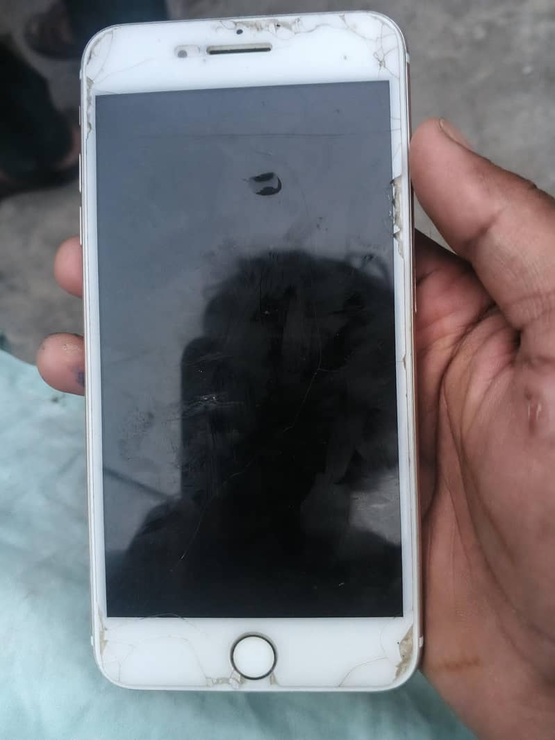 iphone 5