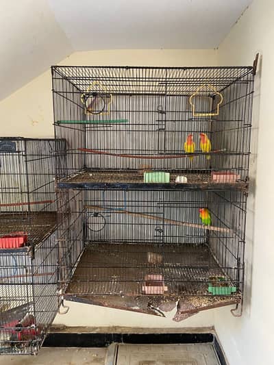 Big Cage for sell