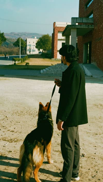 Awais Shahzad