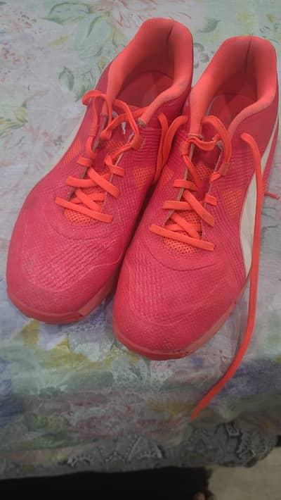 used spicy cricket shoes