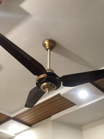Wooden brown and gold selling fan , Condition 9.5/10 , Voltage 220-230