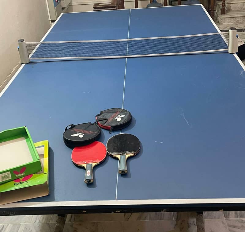 Table Tennis 0