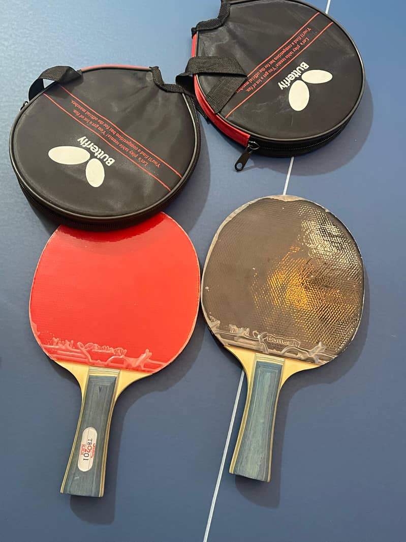 Table Tennis 4