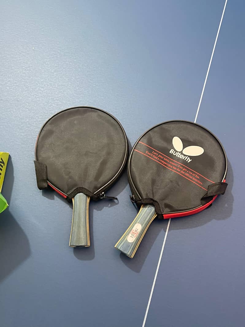 Table Tennis 5