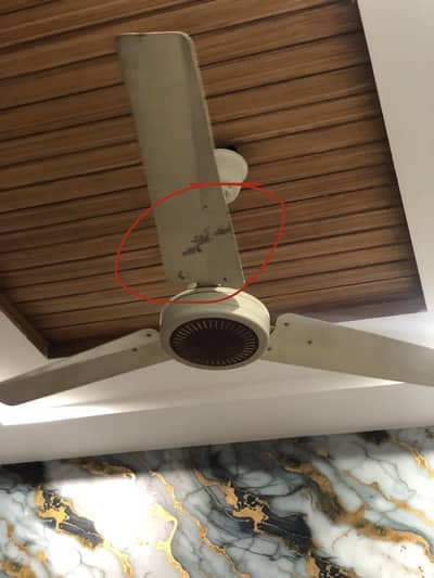 Off-white selling fan,  Condition 7.5/10,  Voltage 220-230