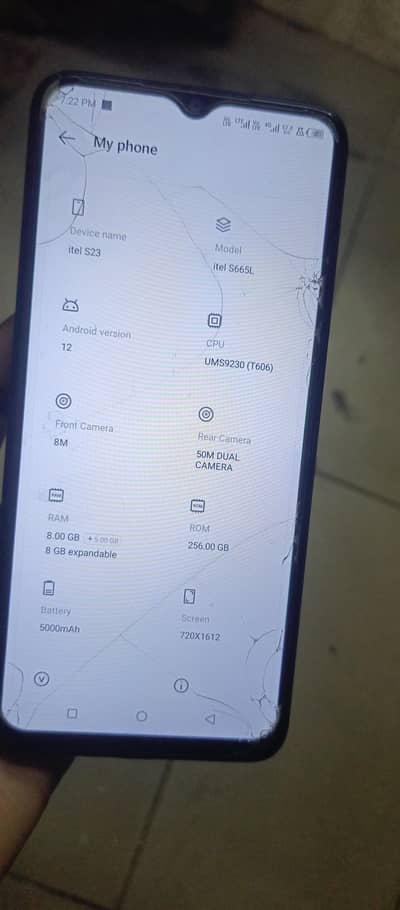 8+8/256/gb. all okay