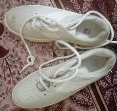 servis brand new shoes