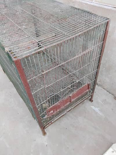 cages for sall