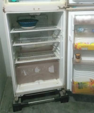 Dowlannce fridge