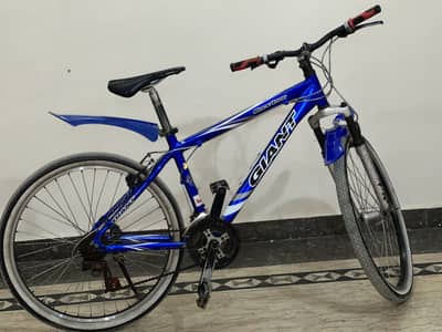 Giant rock4500