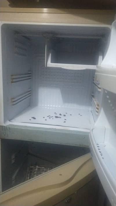 used fridge pel