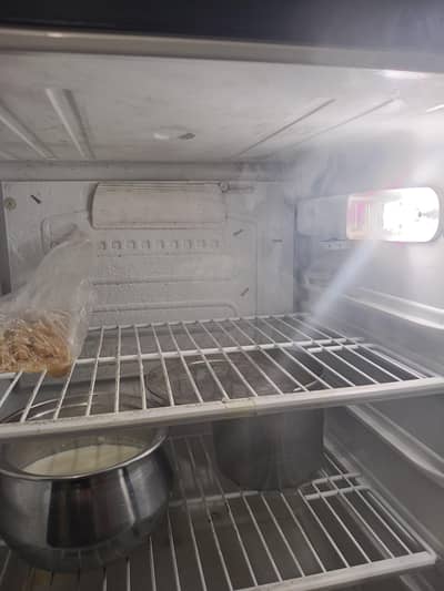 pel Fridge