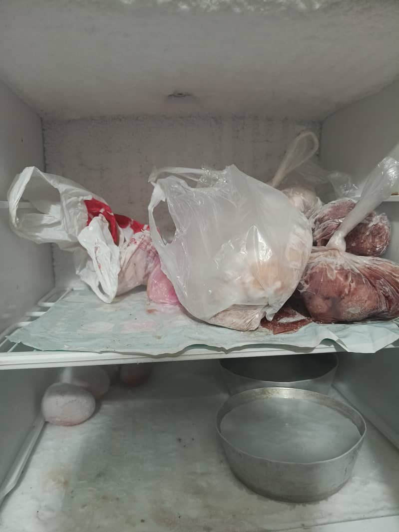 pel Fridge 1