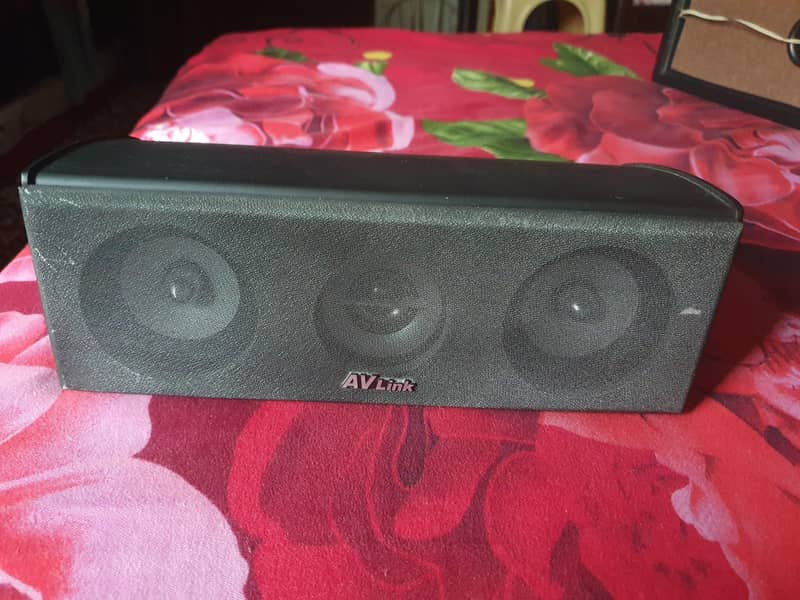AV Link Single Speaker 0