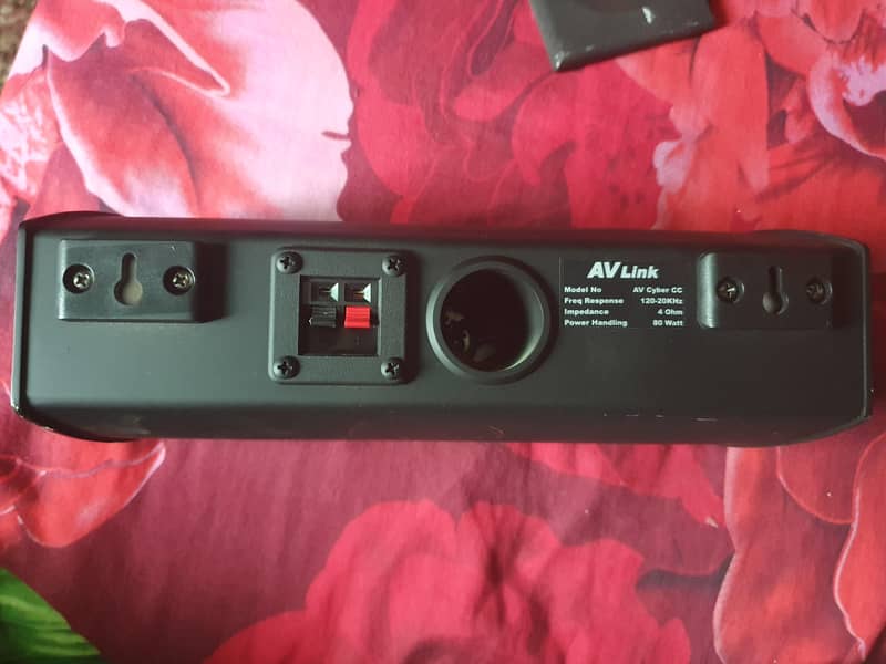 AV Link Single Speaker 2