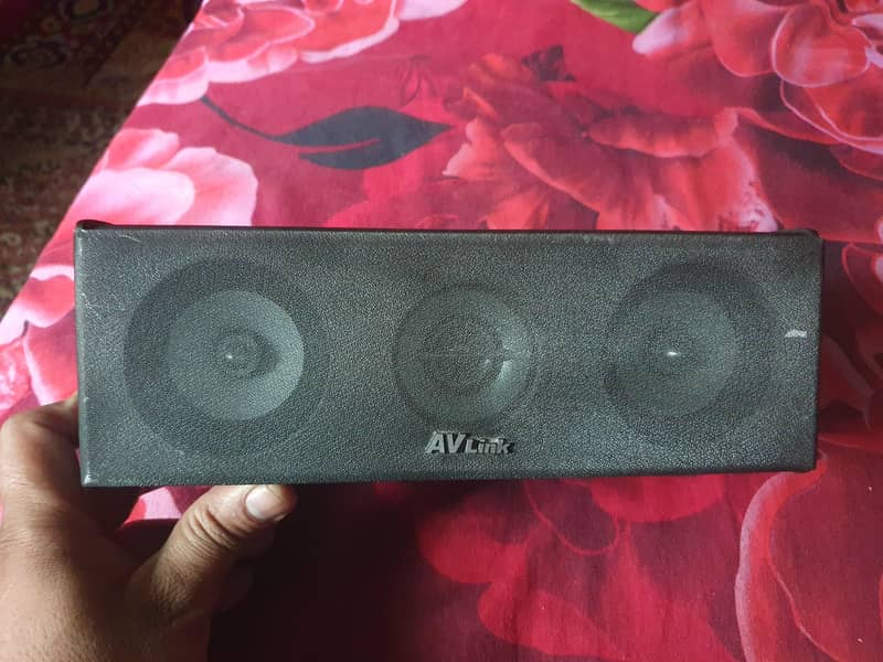 AV Link Single Speaker 3