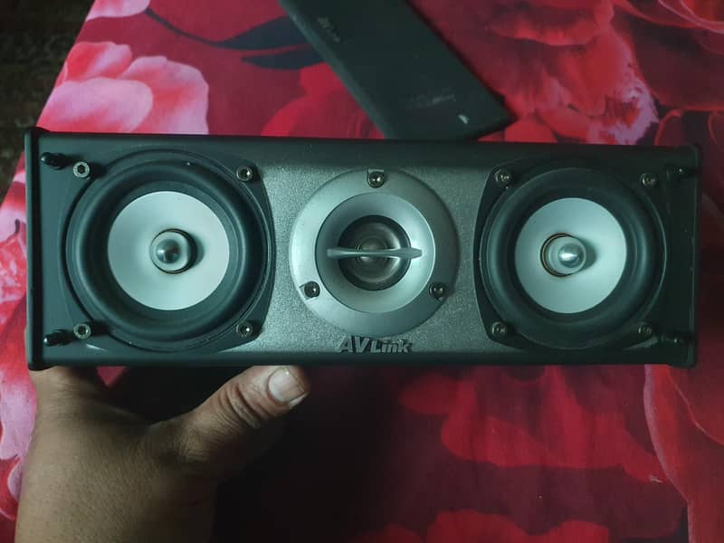 AV Link Single Speaker 4