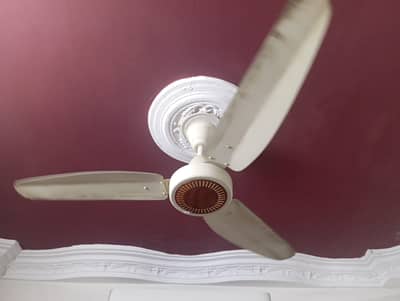 Stylish GFC Ceiling Fan