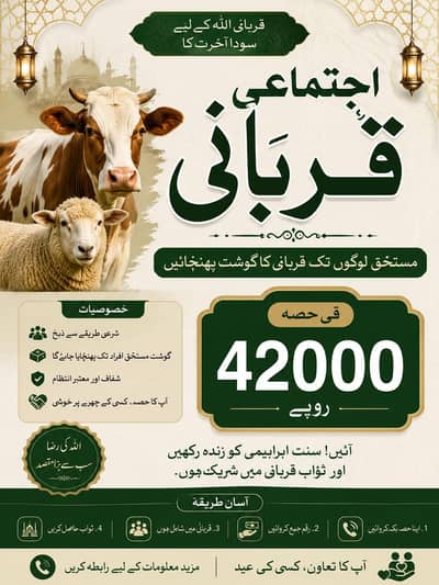 Ijtamai Qurbani fi hissa 42000