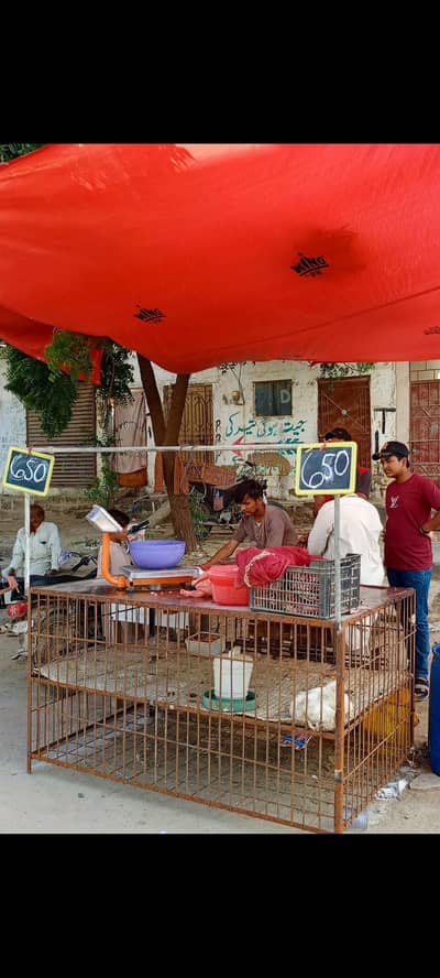 Chicken Pinjra | Chicken Cage | Murghi Pinjra | Hens Cage