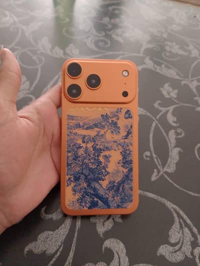 one more deal for 17 pro Max lover s