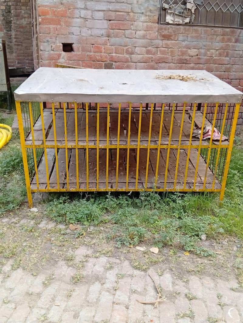 pinjra 0