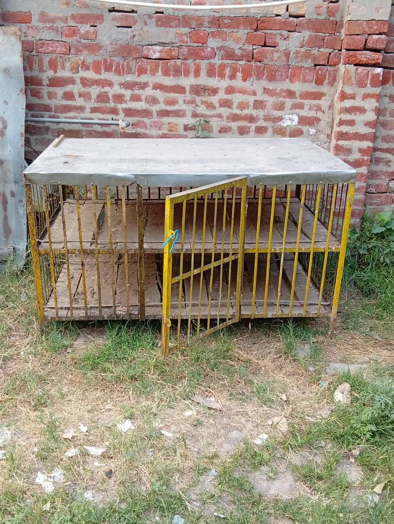 pinjra 1