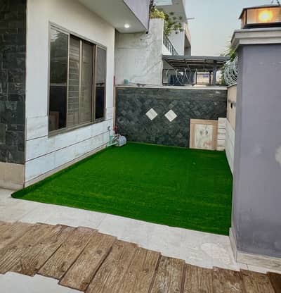 Lawn Carpet for Sale