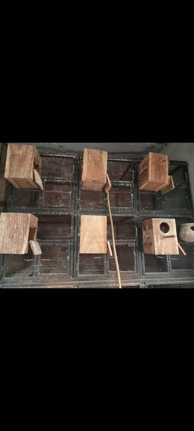 cages