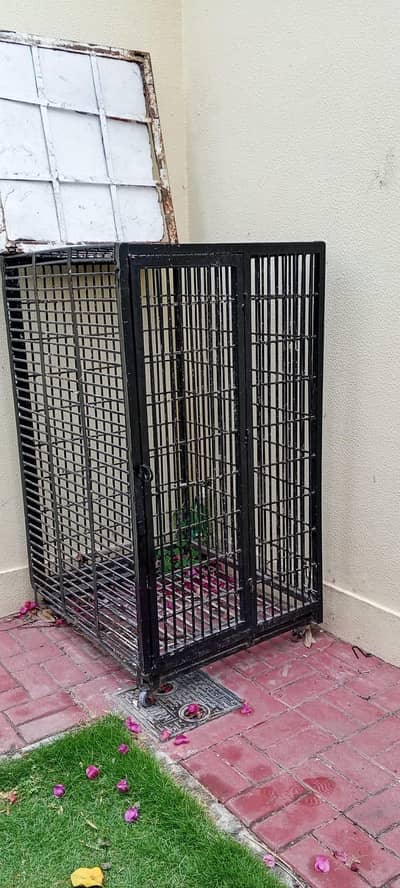 parrot cage for sale