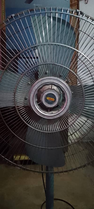 asia fan
