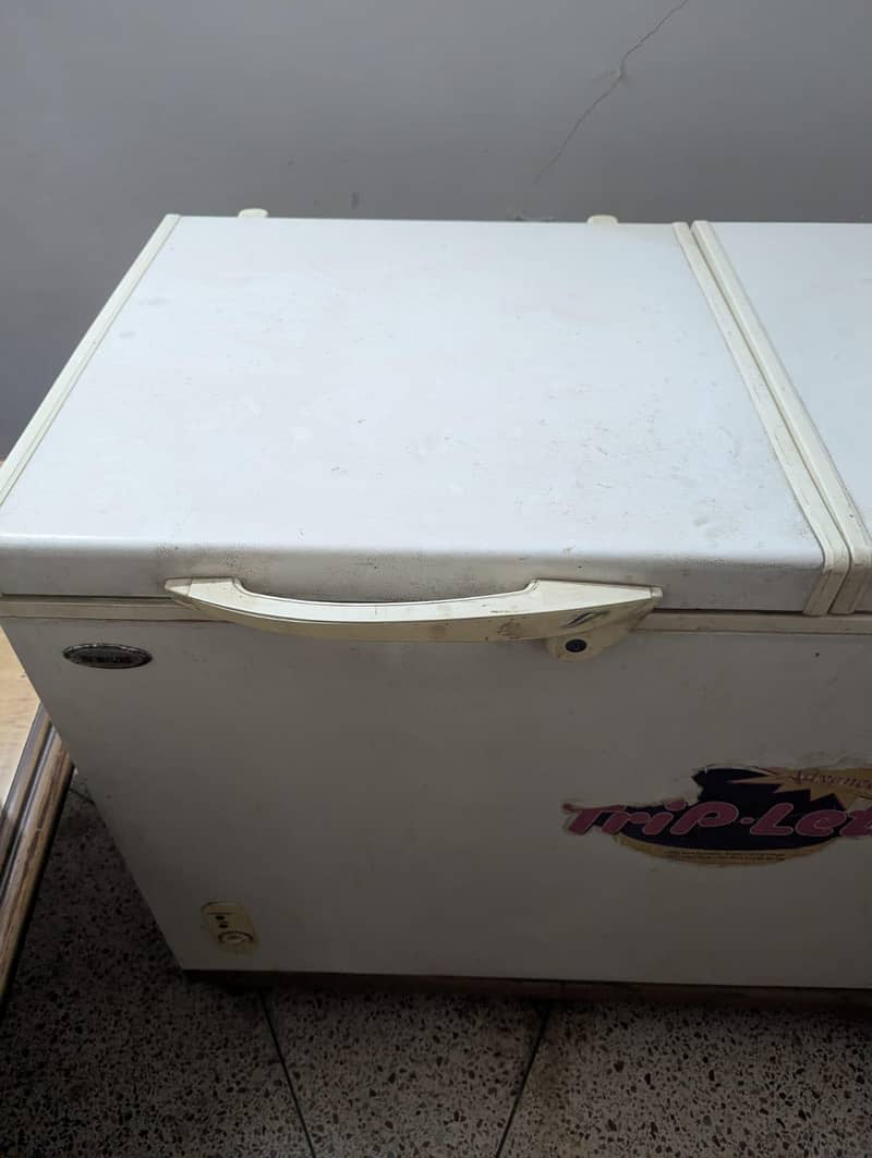 Double Door Freezer 1