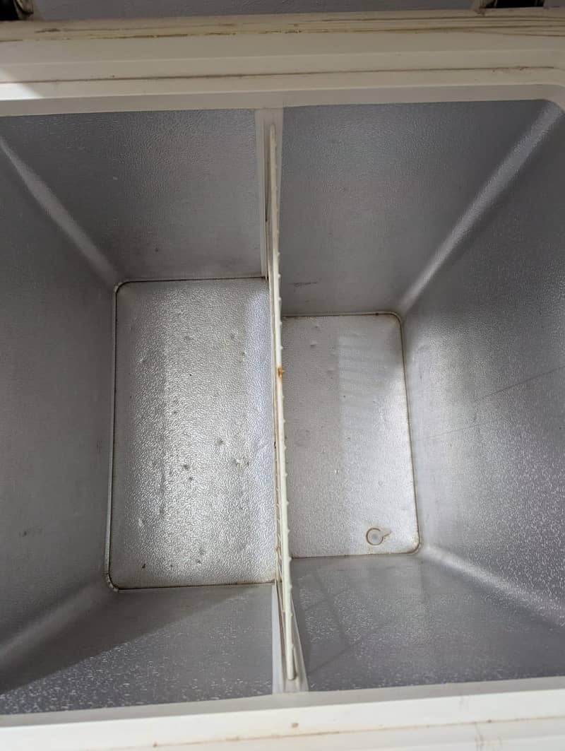 Double Door Freezer 2