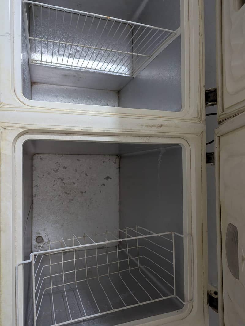 Double Door Freezer 4